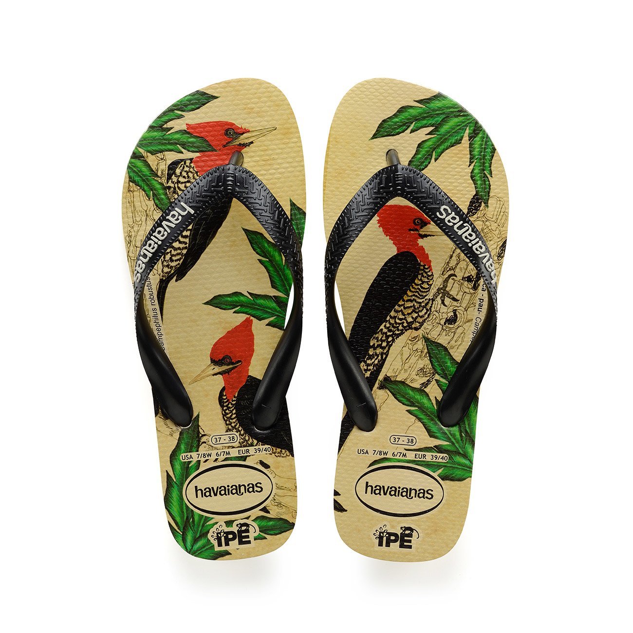 HAVAIANAS IPE bCODE Your Online Fashion Retail Store